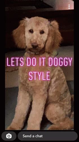 doggystyle gif|Free doggystyle Porno GIFs on XGroovy.com.